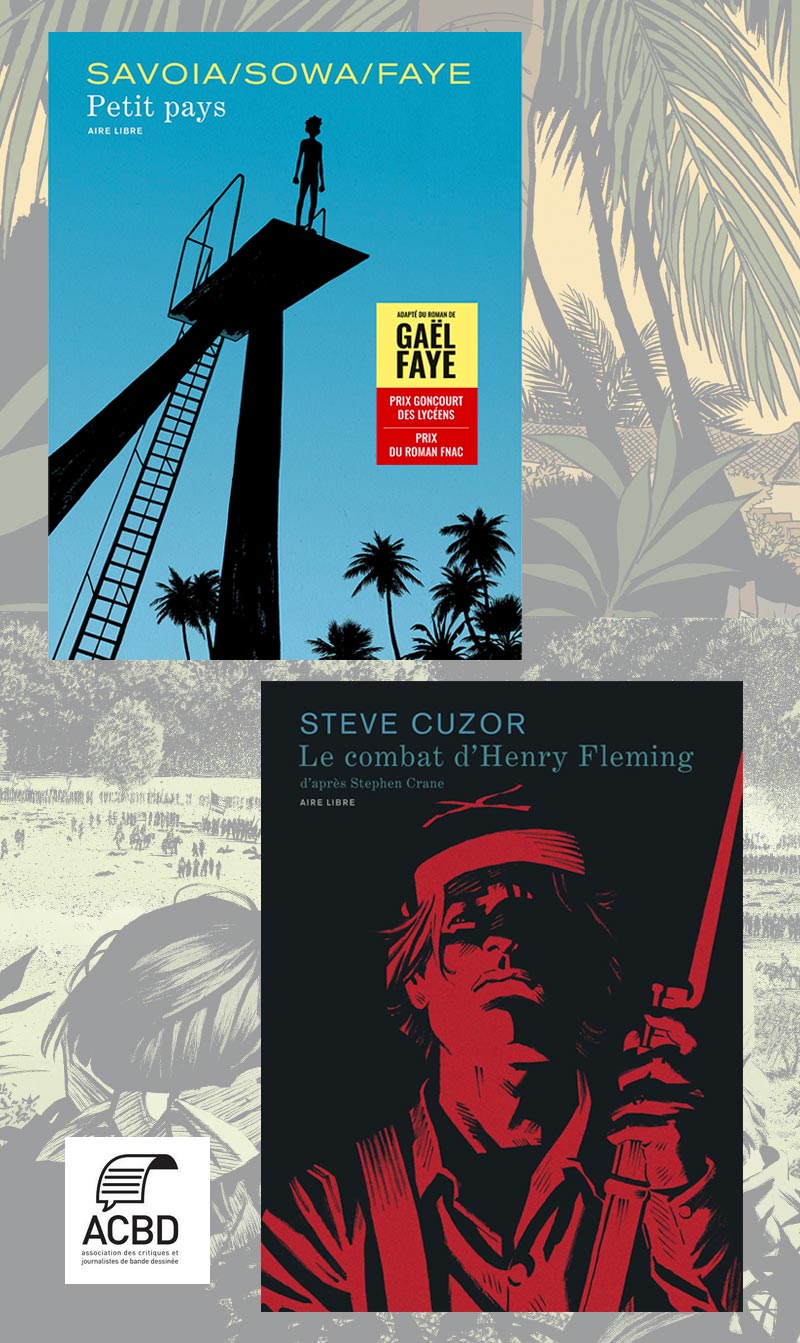 <i>Petit pays</i> et <i>Le combat d'Henry Fleming</i> : indispensables de l'été ACBD 2024