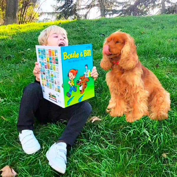 Boule et Bill lesaventuresdumercredi - Instagram