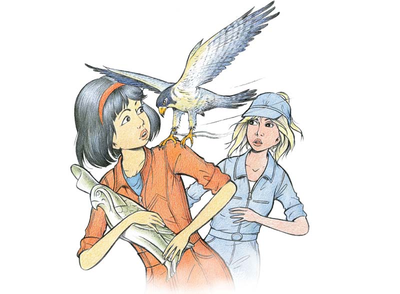 Yoko Tsuno Tome 29 - Anges et faucons - Résumé